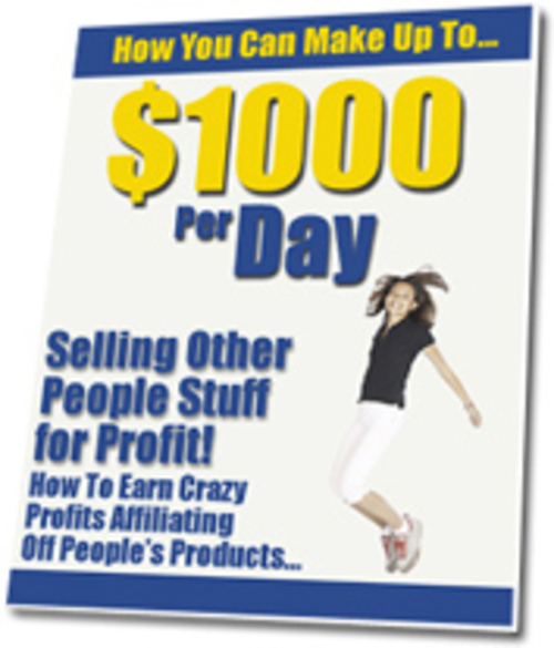 Product picture Make A $1,000 Per Day - MRR